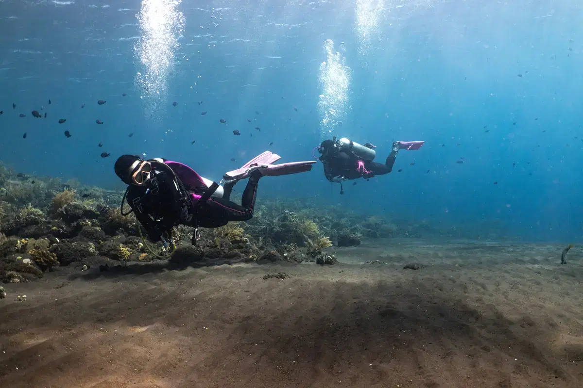 Boat Diving Expedition in Neil - Submerge into Tranquility