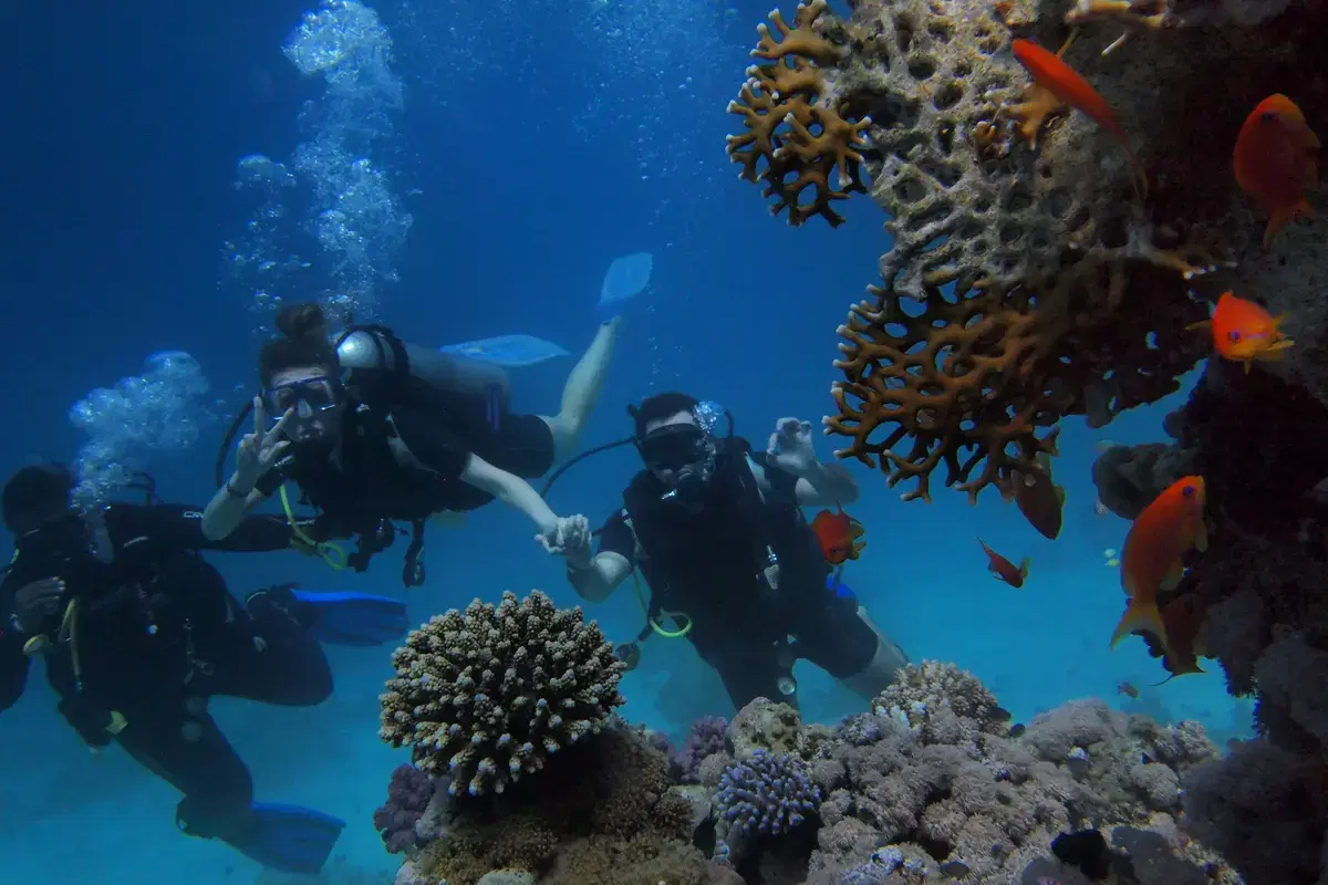Boat Diving Expedition in Havelock - Explore the Depths